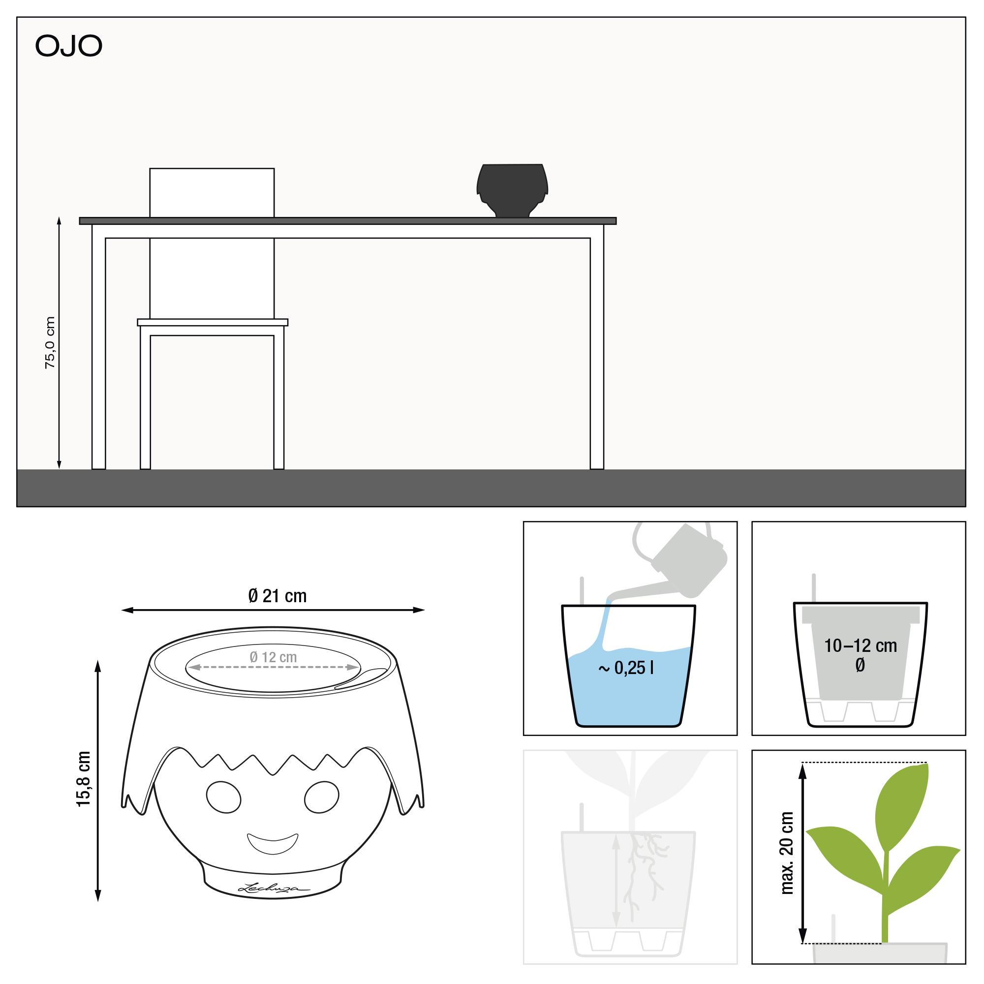 le_ojo_product_addi_nz